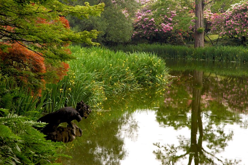 Old Westbury Gardens