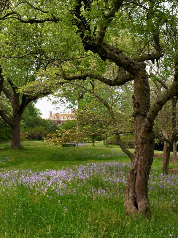 Old Westbury Gardens