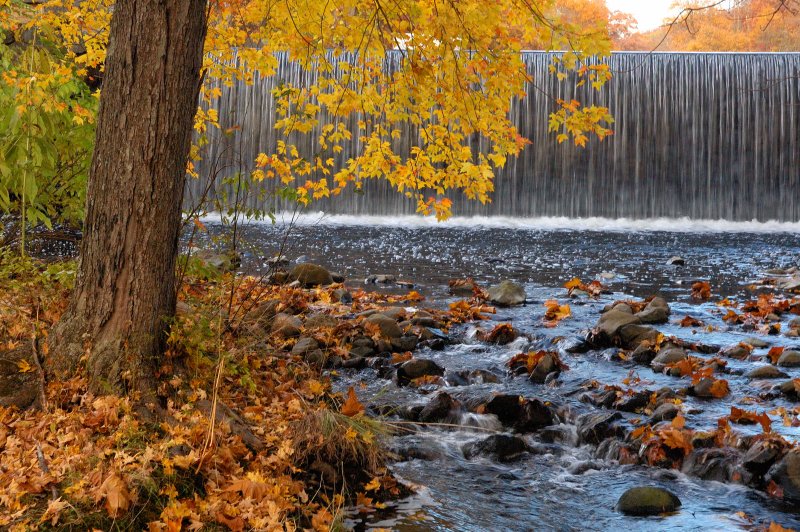 Ringwood State Park, Ringwood, NJ