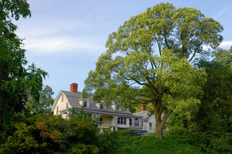 Cedarmere
