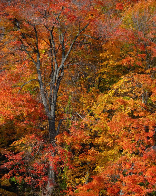 Bear Mountain State Park