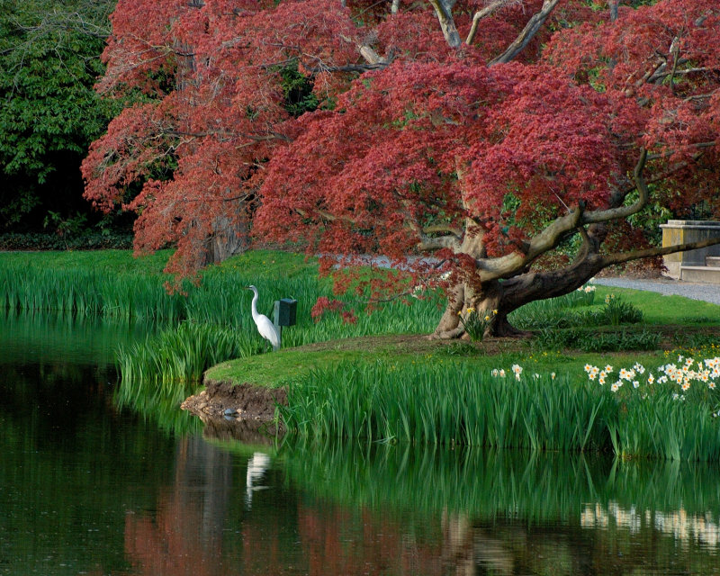 Old Westbury Gardens