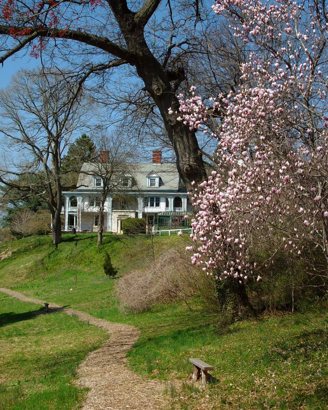 Cedarmere