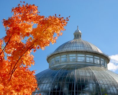 New York Botanical Garden