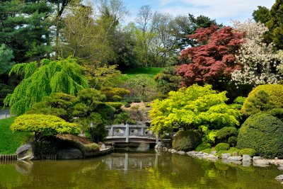 Brooklyn Botanic Garden