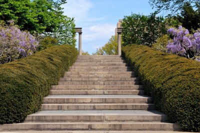 Brooklyn Botanic Garden