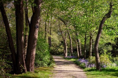 Bayard Cutting Arboretum