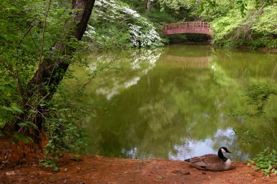 Old Westbury Gardens