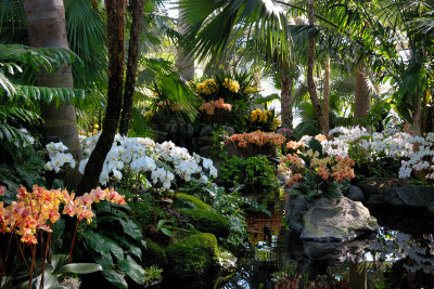 New York Botanical Garden