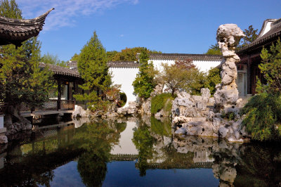 Chinese Scholar's Garden