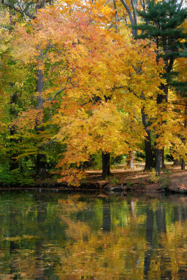 Bailey Arboretum