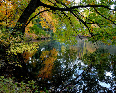 Bailey Arboretum