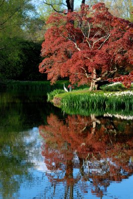 Old Westbury Gardens