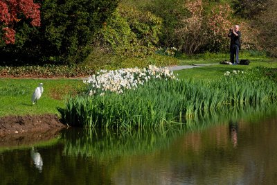 Old Westbury Gardens