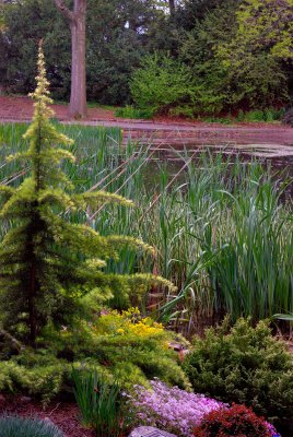 Clark Botanic Garden