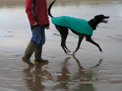 Daz's 'boing' - John Muir Country Park