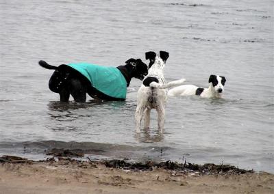 It's snowing but they just don't care