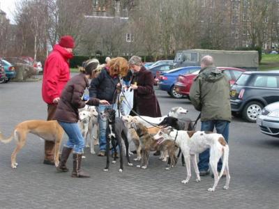 Meeting up at Holyrood Car Park