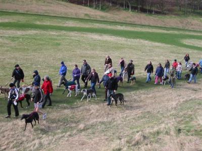 The Dog Caravan