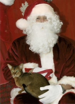 Santa is cuddly!!