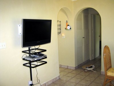 HD TV in living room