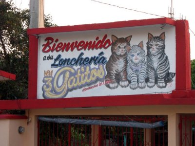 Los Tres Gatitos - home of the Special Sandwich