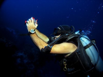 Divemaster Luis taking a photo of the Swedish couple