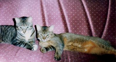 Lazing around
