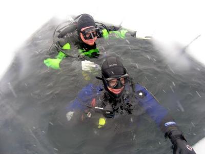 Rob and Art surface