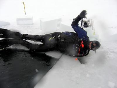 Rob posing