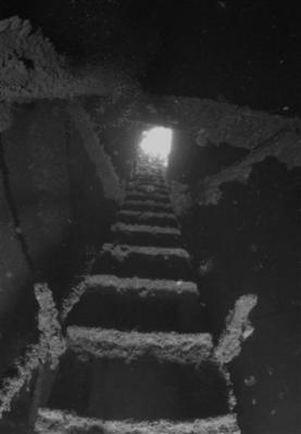 Inside cargo tank #7 (port), looking up the access ladder to the hatch.