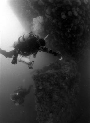 A diver at the stern examines the rudder