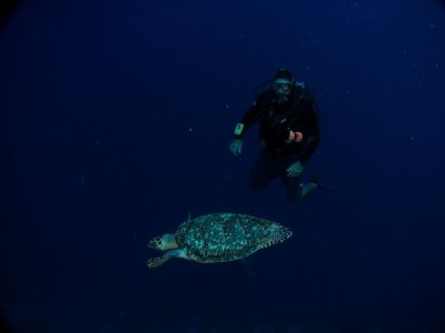Luis & turtle