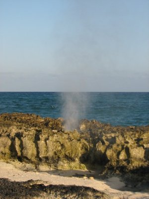 Water spurting through rocks on beach