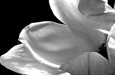 You don't take a photograph.  You ask, quietly, to borrow it.  ~Author Unknown