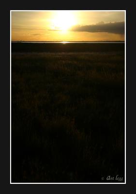 sun over grasslands