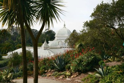 Golden Gate Park-Tropical House-01.JPG