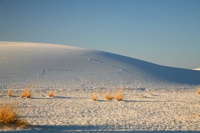 03-Evening Tracks.JPG