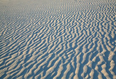 04-Wind Ripples.JPG