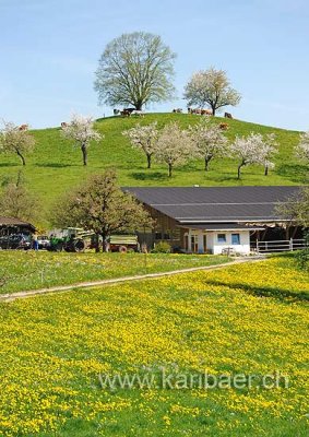 Bauernhof (103812)
