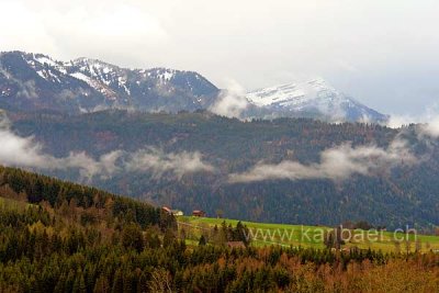 Wildspitz und Rigi (80635)