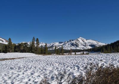 Tioga Pass Looking Southeast