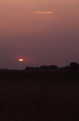 Sunset in Afton, CA