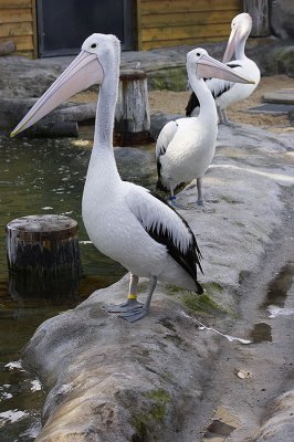 _IGP9698.jpg