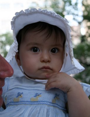 IMG_6170AdjWeb.JPG