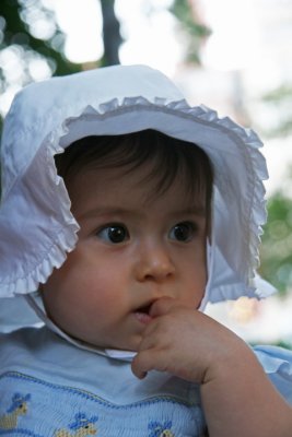 IMG_6171AdjWeb.JPG