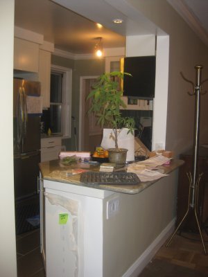 Picture 005.jpg