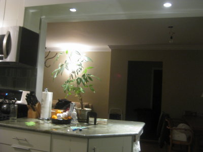 Picture 028.jpg