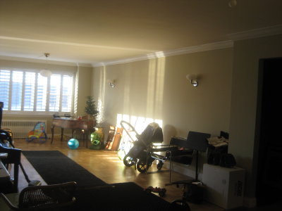 Picture 295.jpg