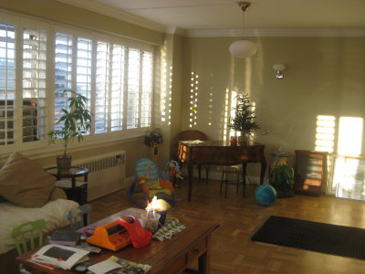 Picture 306.jpg